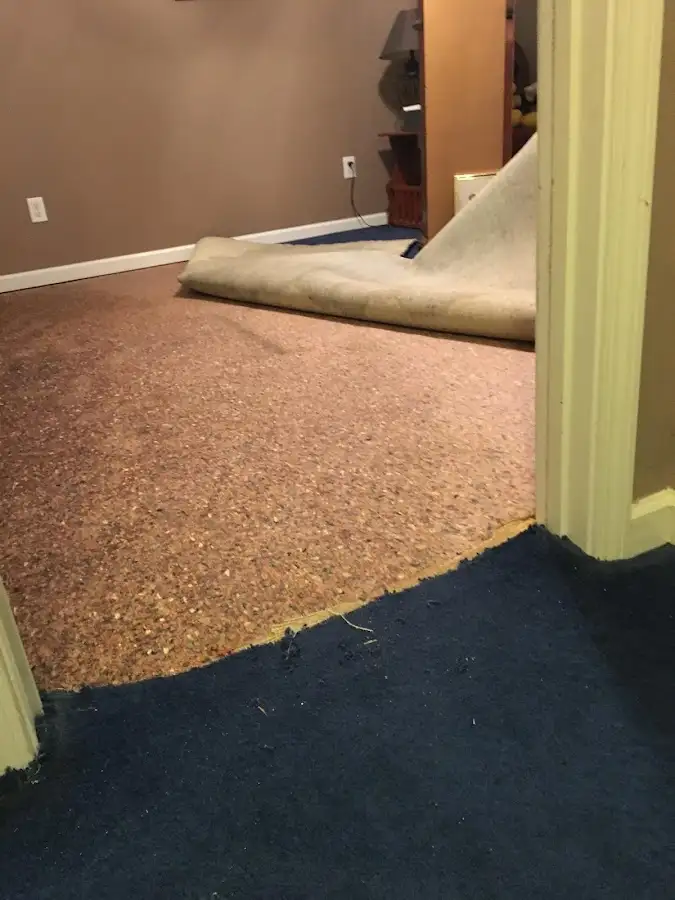 Carpet pad removal revealing water damage during Drying & Dehumidification in Franklin Park